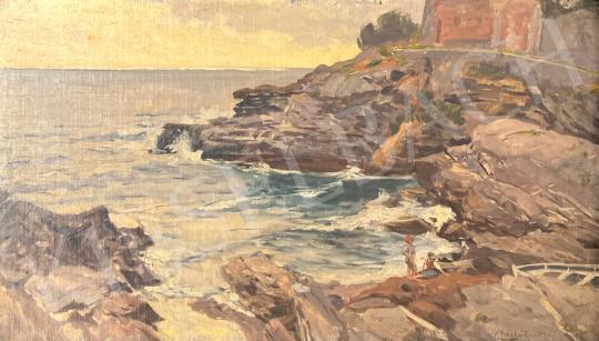 For sale  Nádler, Róbert - Mediterranean coast (Adriatic Sea) 's painting