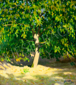 Szirt Oszkár - Diófa, 1911 