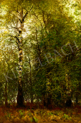  Mednyánszky, László - Birch Grove 