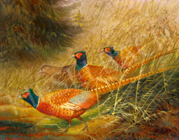  Csergezán, Pál - Pheasants 