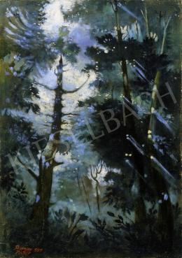  Remsey, Jenő György - Lights in the Forest 