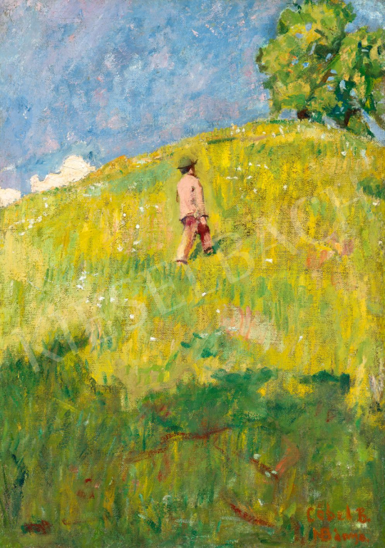  Czóbel Béla - Fiú a domboldalon (Nagybánya), 1903–1904 | 79. téli aukció aukció / 71 tétel