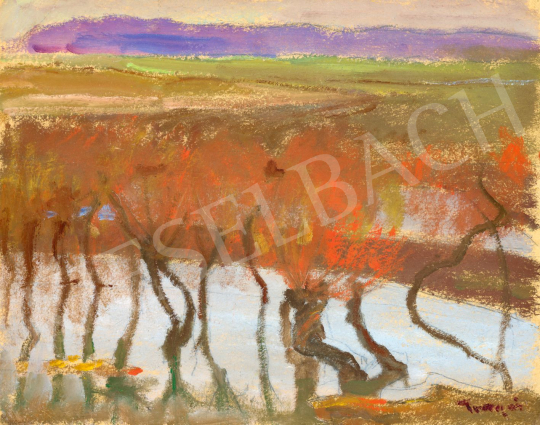 Tornyai János - Alkonyati fények az Alföldön (Tükröződés) | 79. téli aukció aukció / 109 tétel