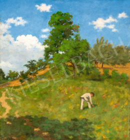  Ismeretlen nagybányai művész - Domboldalon 