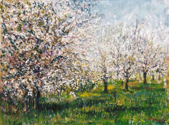 Halápy, János - Cherry - tree, Blossoming | 21st Auction auction / 1 Lot