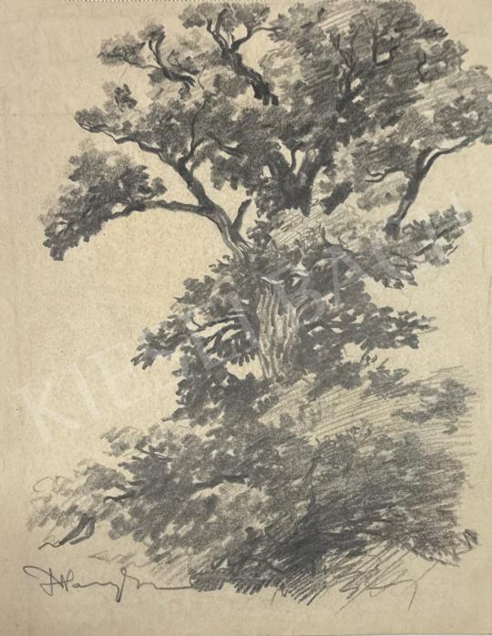 Eladó Haranghy Jenő - Fa festménye