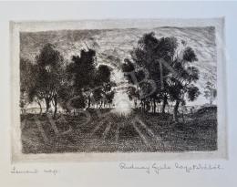  Rudnay Gyula - Lemenő nap 