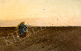  K. Spányi, Béla - Dawn Lights on the Field, 1887 