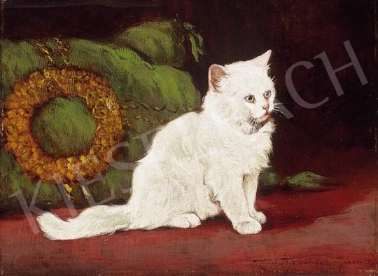 Rainerné-Istvánffy, Gabriella - Award - Winning Cat | 4th Auction auction / 188 Lot