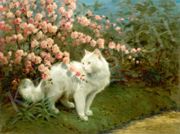 Rainerné-Istvánffy, Gabriella - White Kitten Under the Flowering Bush 