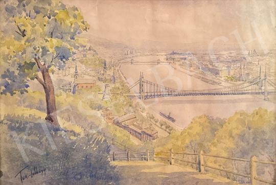 For sale  Turi-Jobbágy, József - A view of Budapest from Gellért Hill  's painting