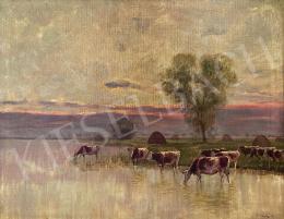 Olgyay, Ferenc - Cow milking 