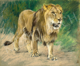  Vastagh Géza - Oroszlán, 1908 
