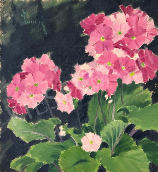 For sale Lampé, Sándor - Geranium 's painting