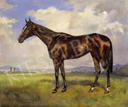  Konrád, Ignác - Portrait of a Horse Róna 