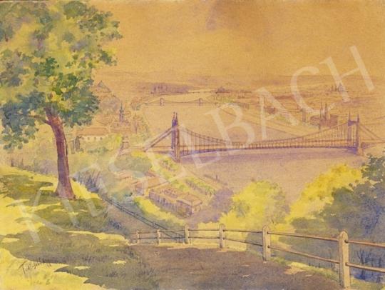  Turi-Jobbágy, József - View from the Gellérthegy with the Rácfürdő and the old Elisabeth Bridge | 3rd Auction auction / 20 Lot