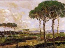  Magyar Mannheimer, Gusztáv - Italian Landscape with Pine Trees 