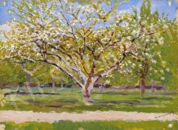  Mednyánszky, László - Trees Blossoming 