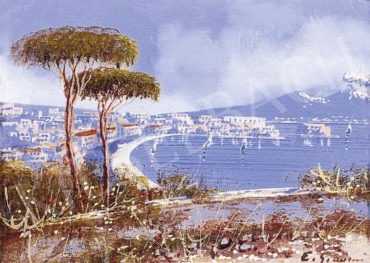 Signed E. Giovanni - The View of Naples with the Mount Vesuv | 3rd Auction auction / 112 Lot