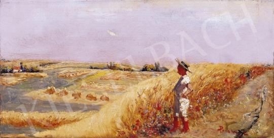  Pataky, László - Straw - Hatted Boy in the Field | 3rd Auction auction / 283 Lot