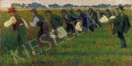 Pálinkás, Béla - Harvest 