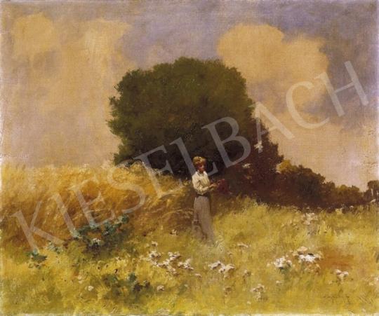 Neogrády, Antal - Lady Picking Flowers | 2nd Auction auction / 113 Lot