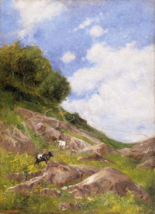  Bruck, Miksa - Goats in Rocky Landscape | 1st Auction auction / 163 Lot