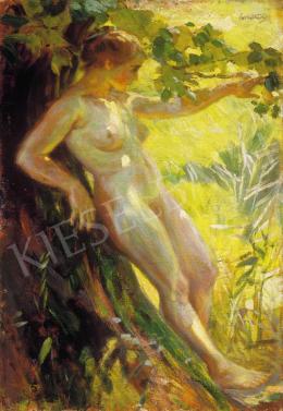 Cserna, Károly - Nude in the Open-Air 