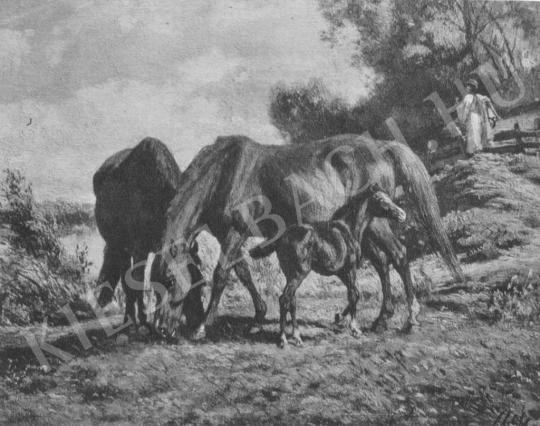  Lotz Károly - Legelésző lovak festménye