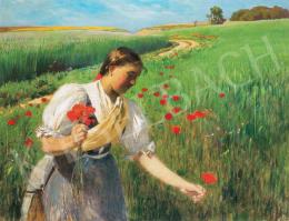 Szinyei Merse, Pál - On the Field with Poppies 