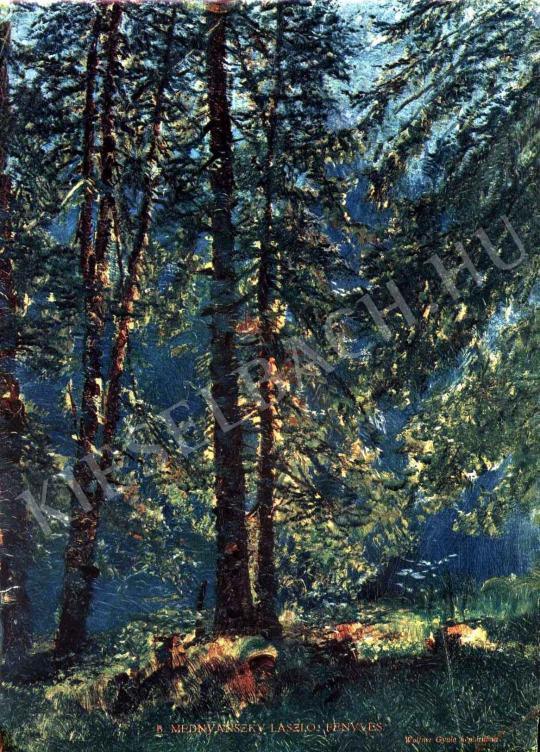  Mednyánszky, László - Pine-Wood painting