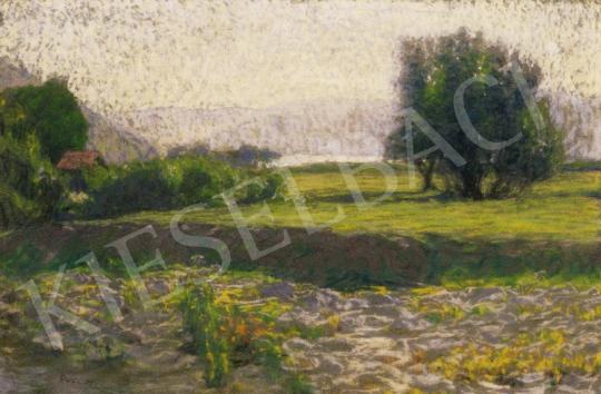  Poll, Hugó - Sunlit Field | 27th Auction auction / 36 Lot