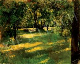 Hatvany, Ferenc - Sunlit Grove 