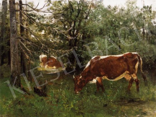 Blaas, Julius von - Cows in the Forest | 23rd Auction auction / 108 Lot