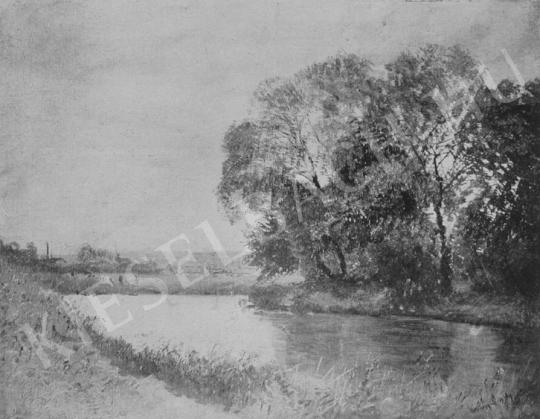  Mednyánszky, László - The Valley of the River Bodrog painting