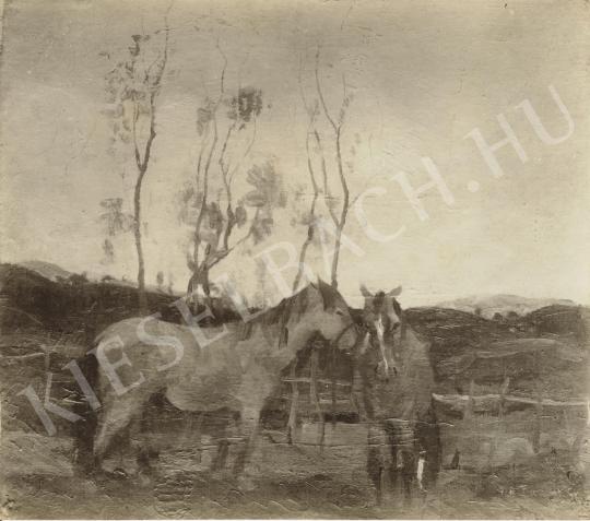  Rudnay, Gyula - Horses painting