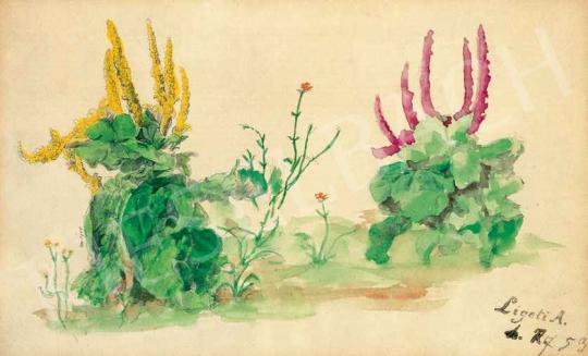 Ligeti Antal - Mezei virágok | 29. Aukció aukció / 179 tétel