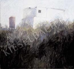 Szüts Miklós - Tuniszi kert (2003)