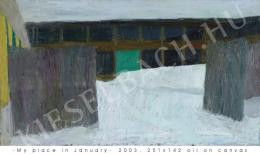 Nagy Géza - Január nyugatról II. 2003 