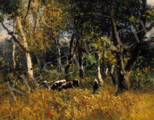 K. Spányi, Béla - Poppies by the Forest | 20th Auction auction / 5 Lot