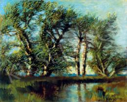  Mednyánszky, László - Brookside Trees 