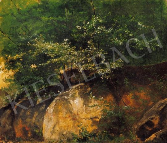 Brodszky, Sándor - Rocks in the Forest | 20th Auction auction / 15 Lot